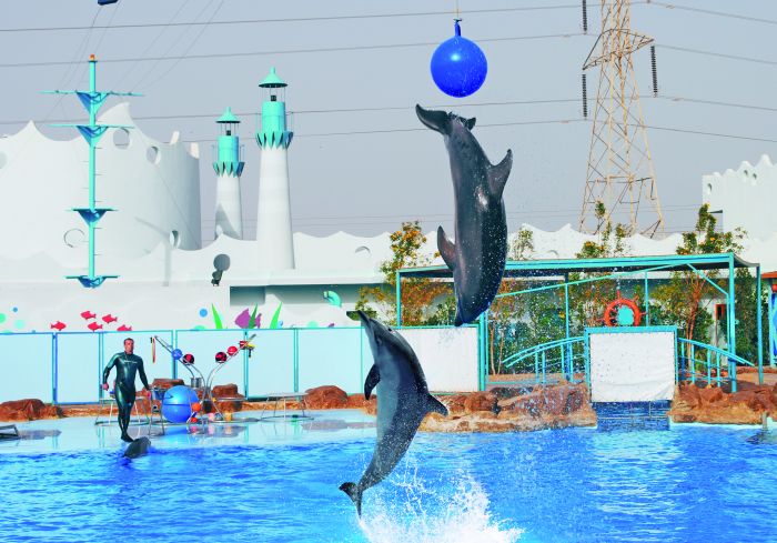 Delfinárium Delfinárium