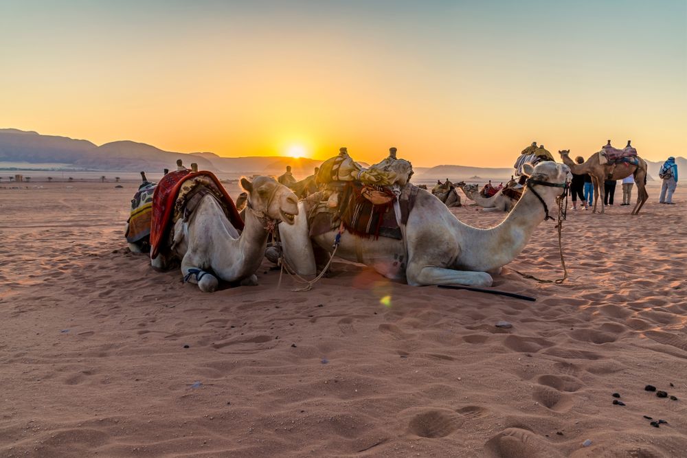 Wadi Rum, Jordánsko