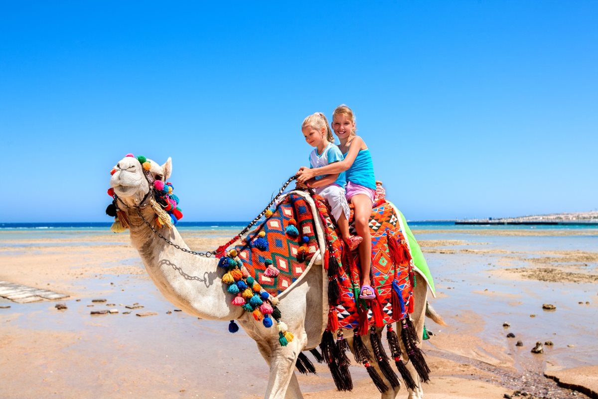 Projížďka na velbloudech, Marsa Alam