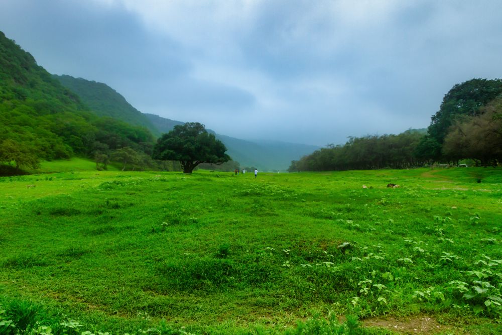 Kharref v Salalah, Omán