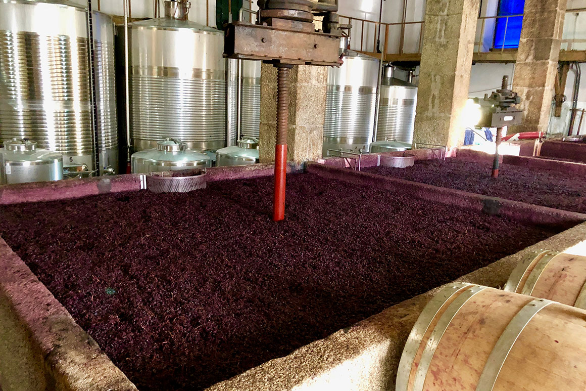 Výroba portského vína, Douro, Portugalsko Výroba portského vína, Douro, Portugalsko