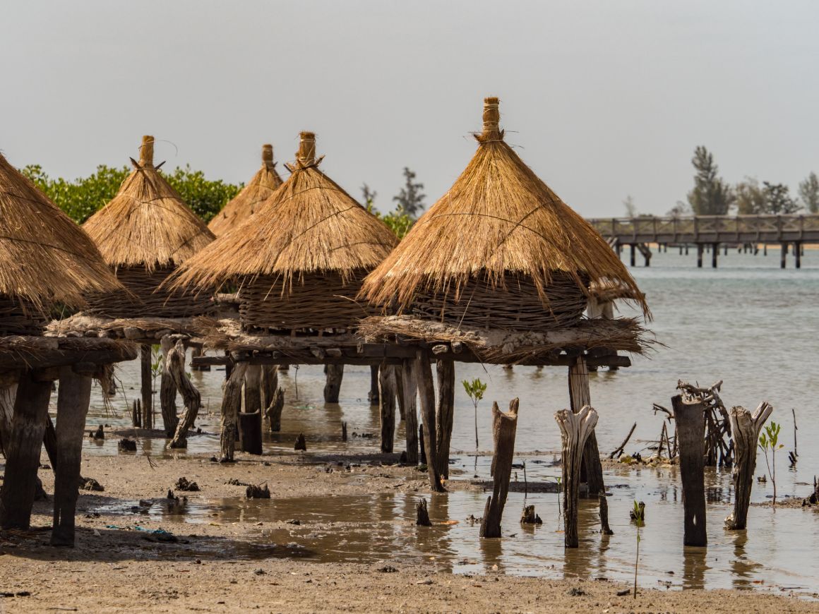 Tradiční sýpky mezi mangrovovými stromy, Senegal