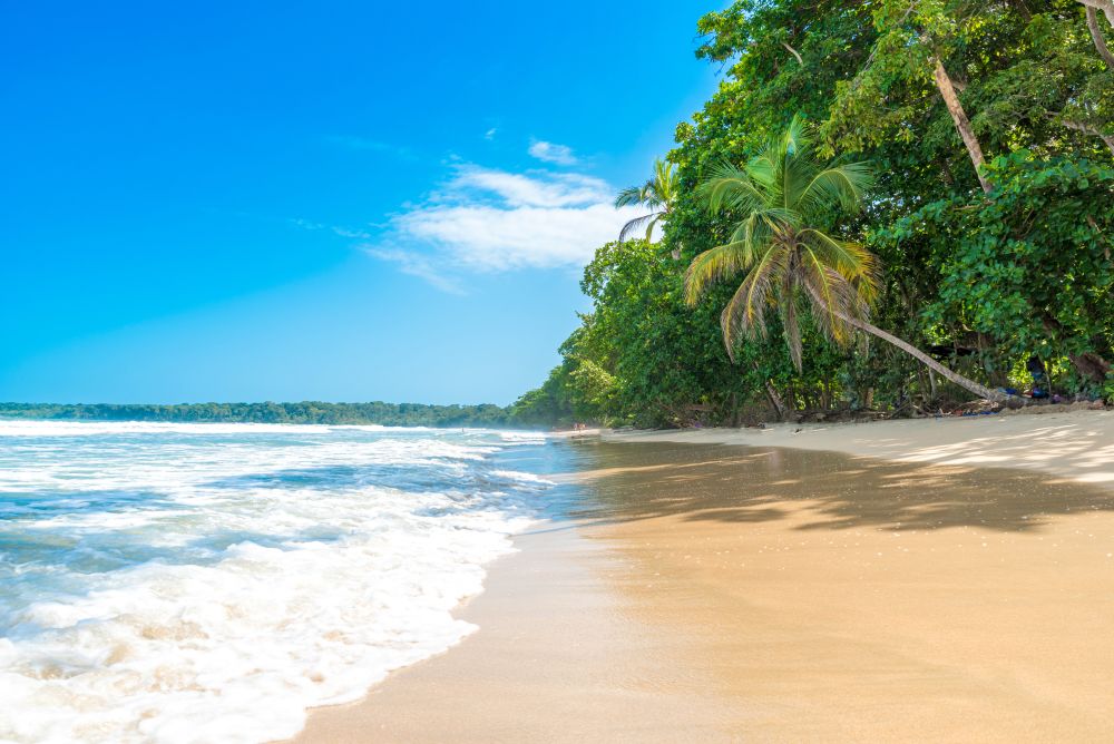 NP Cahuita s korály a palmami, na kterých odpočívají lenochodi