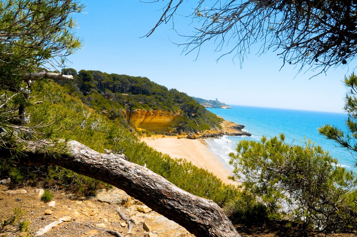 Cala Fonda, Costa Dorada