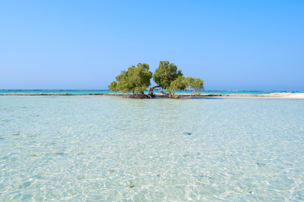 Pláž Qulaan, Marsa Alam