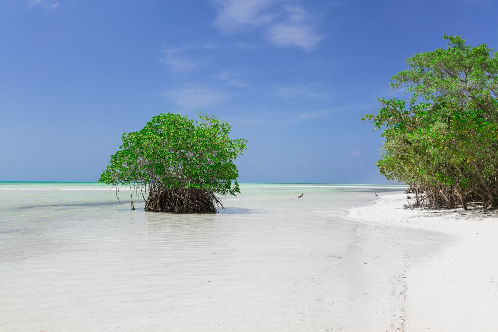 Pláž Cayo Coco, Kuba