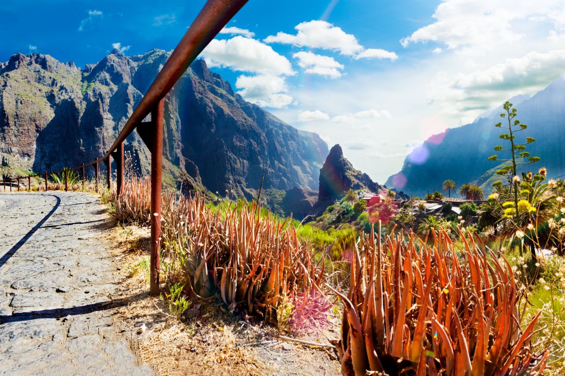 Údolí Masca, Tenerife