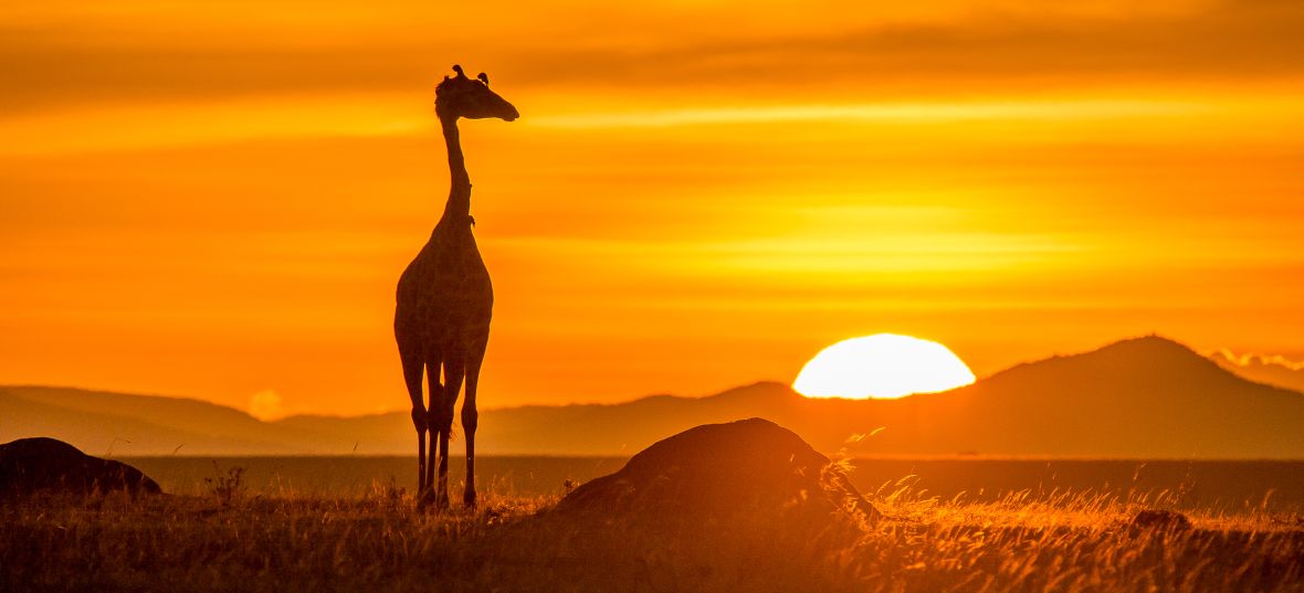 Východ slunce v rezervaci Masai Mara, Keňa